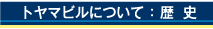 トヤマビルとは